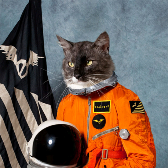 klaxons-cat-astronaut-album.jpeg